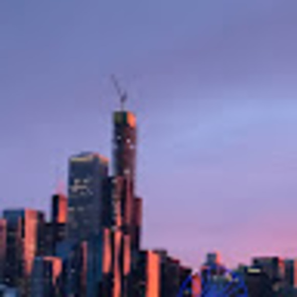 Meet your Posher, Violet - Picture 1 of 1